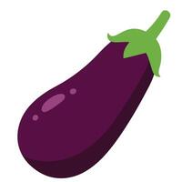 Fresh and Vibrant Eggplant on White Background for Culinary Illustrations and Design Projects vector