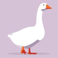 Cartoon Illustration of a White Goose Standing on a Solid Background in a Playful Style vector