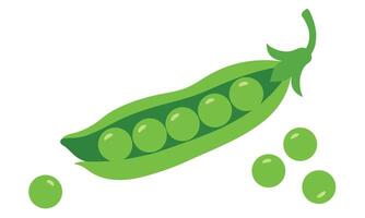 Fresh Green Peas in a Pod with Individual Peas on a White Background vector