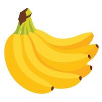 Fresh Yellow Bananas in a Vibrant Bunch Ready for Delicious Nutritional Enjoyment vector