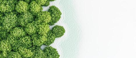 Green mossy texture forming a border on white textured material. Abstract foliage background with copy space. Detailed moss clusters photo