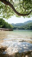 Clear lake water washes over smooth stones. Green trees line the shore near rolling hills. A large branch hangs overhead in bright sunlight. photo