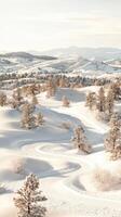 Snowy hills with winding trail. Sunlight over fresh winter landscape. Trees covered in snow on a cold and sunny day. White hills backdrop. photo