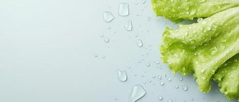 Fresh green lettuce leaves with water droplets on a light background. Close up of healthy salad. Bright studio shot of food ingredient photo