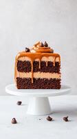 Slice cake with cream stands on plate. Chocolate decorations on dessert. Vegetarian desserts with tasty topping drips on chocolate cake. photo
