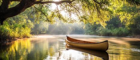 Golden sunlight filters through the dense foliage as a canoe silently navigates the calm waters, showcasing the beauty of a tropical jungle at dawn photo