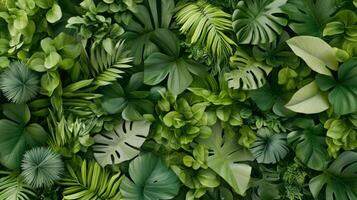 Lush green foliage displays a variety of leaves that evoke a tropical jungle vibe, perfect for design projects, nature themes, or relaxation spaces photo