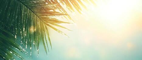 Glittering droplets cling to the vibrant green palm fronds as sunlight softly illuminates the lush jungle, creating a serene tropical atmosphere photo