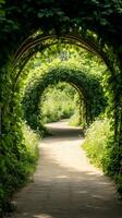 A tranquil pathway winds through a tropical jungle adorned with vibrant green vines and plants, inviting exploration and connection with nature photo