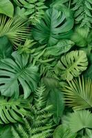Exploring a vibrant array of tropical leaves, this composition highlights rich shades of green and intricate leaf patterns found in lush jungle environments photo