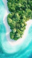 Aerial view of a small tropical island with green trees and white sand surrounded by turquoise ocean water. Paradise nature. photo