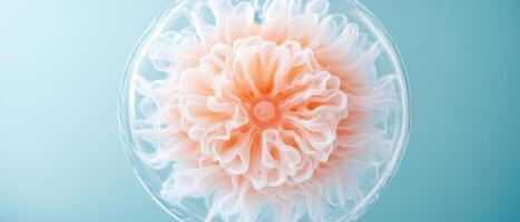 Abstract sphere shape with light orange floral pattern inside on a soft blue background. Ethereal organic shapes within a crystal clear orb design. photo