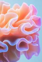 Abstract organic shape. Soft curved forms. Light passes through the material. Delicate gradient colors. Peach, pink and blue tones on a clean background. photo