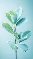 Green leaves plant with light background. Botanical detail with oval leaves and single branch. Nature element for design with pastel colors. photo