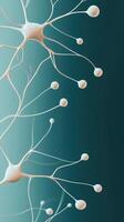 Interconnected Networks Structure on Dark Teal Surface. Neural connections and information transfer. Scientific conceptual display. Abstract System Visual. photo