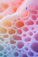 Delicate white framework forms organic lattice. Holes connect to create cellular texture. Warm colors of pink orange blue gradient across structure. photo