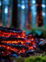 Warm glow of embers in a tranquil forest setting photo