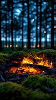 Cozy campfire glowing among trees in a forest at dusk photo