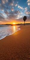 Beautiful sunset over a sandy beach with palm trees photo