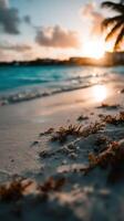 Sunset at the beach with seaweed on the shore photo