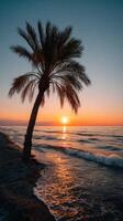 Beautiful sunset over a serene beach with palm tree silhouette photo