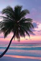 Sunset over the beach with a silhouetted palm tree photo