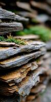 Stones layered with moss in a serene natural setting photo