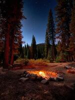 Campsite fire glowing under starry night in the forest photo