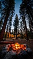Fire glows in a peaceful forest during twilight hours photo