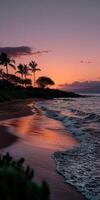 Beautiful sunset over the beach with palm trees and waves photo
