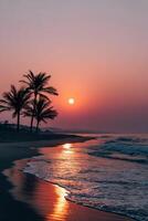 A sunset on the beach with palm trees photo