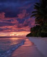 Beautiful sunset over a tranquil beach with palm trees photo