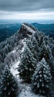 Snow-covered mountain peak surrounded by frosty trees photo