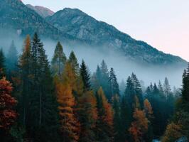 Scenic autumn forest landscape with misty mountains at dawn photo