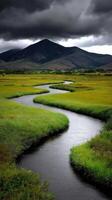 Winding river flows through lush green marshland under clouds photo