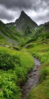 Stunning valley with a stream and lush greenery photo