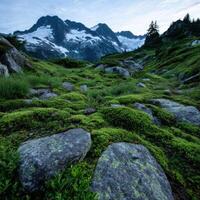 Lush green valley with rocks and towering mountains during twilight photo