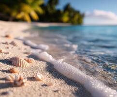 Relaxing beach scene with seashells along the shoreline on a sunny day photo
