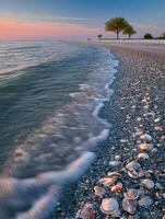 Shells scattered along a tranquil beach at sunset near calm waters photo
