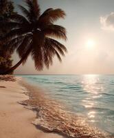 Sunrise over tranquil beach with palm trees and gentle waves at dawn photo