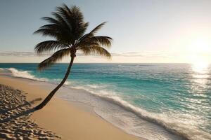 Tranquil tropical beach with palm tree swaying in gentle breeze near ocean at sunset photo