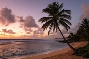 Sunset over tranquil beach with palm trees and gentle waves at a coastal paradise photo