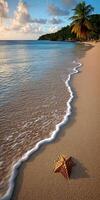 Stunning seashore with starfish at sunset on a tranquil beach photo