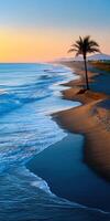 Sunset illuminates serene beach with gentle waves and palm trees photo