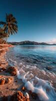 Scenic view of a tranquil beach with gentle waves and palm trees at sunset photo
