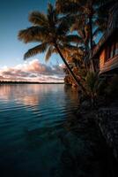 Tranquil evening by the water with palm trees in a tropical paradise photo
