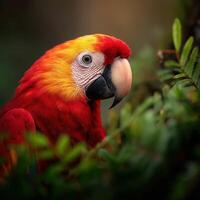 Vibrant scarlet macaw perched among lush greenery in a tropical setting photo