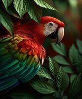 Colorful parrot perched among lush green foliage in a tropical setting photo