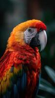 Vibrant macaw perched in lush green surroundings showcasing bright feathers photo