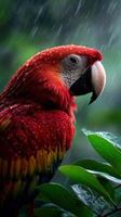 Vibrant parrot perched on a branch during a rainstorm in lush greenery photo